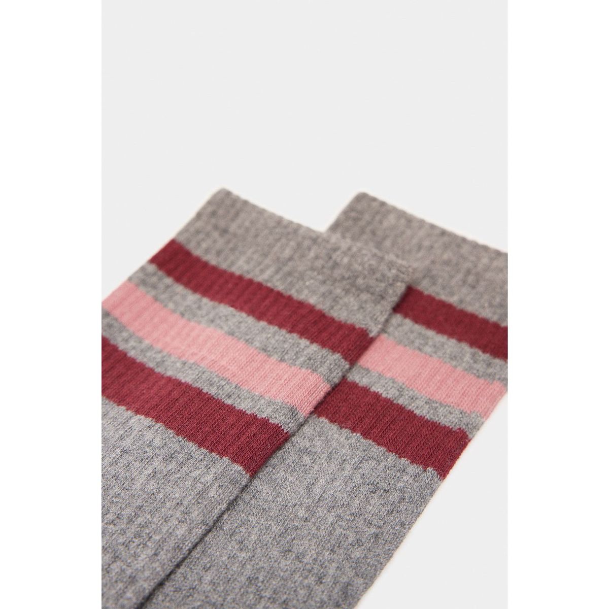 SPRINGFIELD - Medias Algodón Hombre Springfield