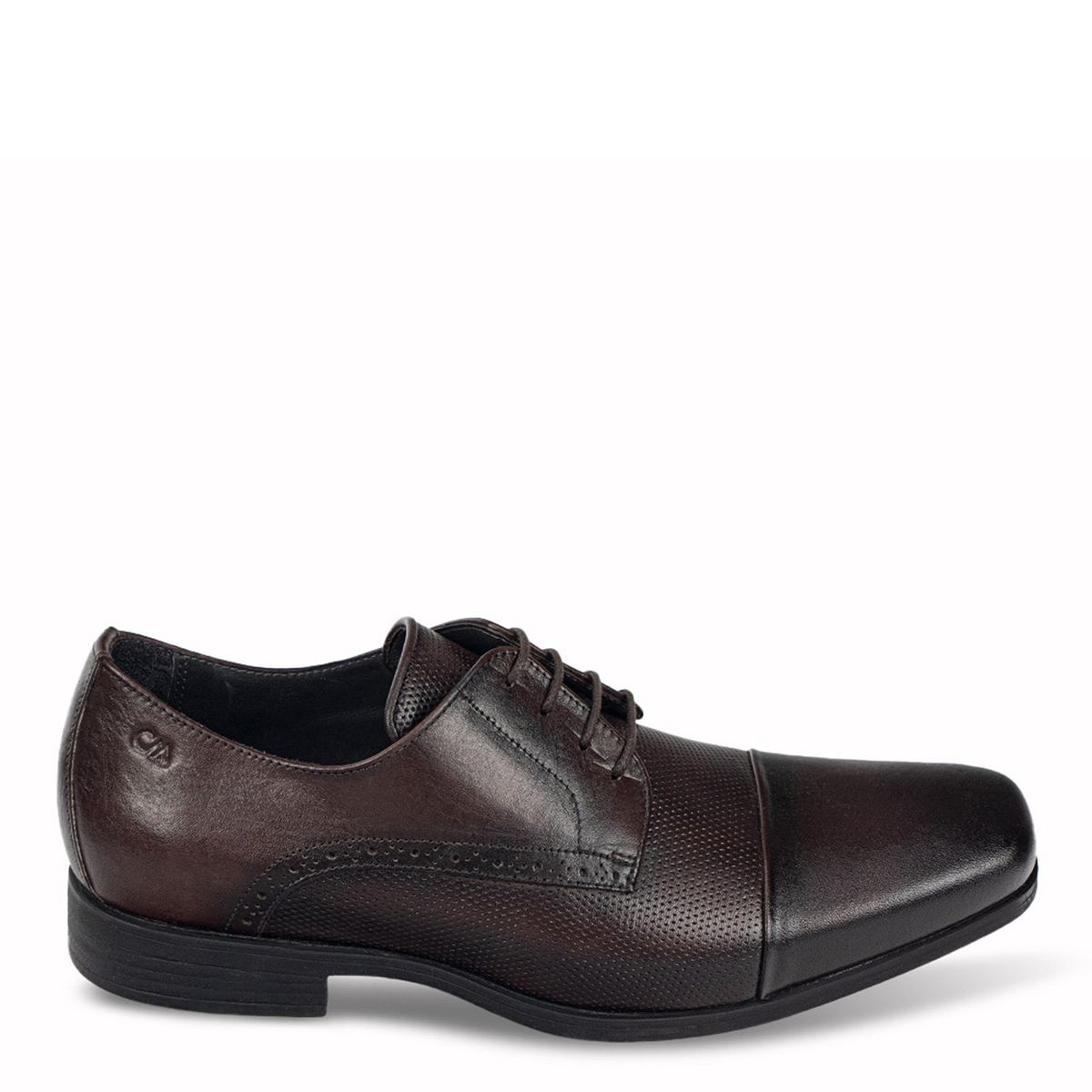 CALIMOD - Zapatos Formales Hombre Calimod Marrón
