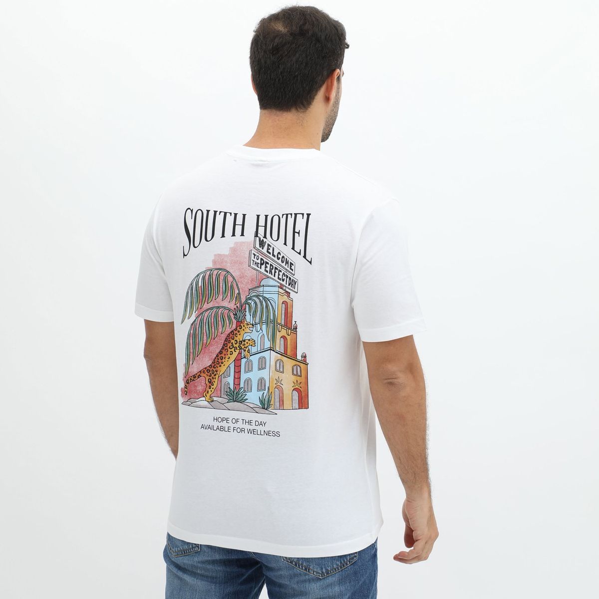 SPRINGFIELD - Polo Manga Corta 100% Algodón Hombre Springfield