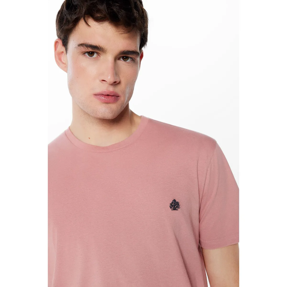 SPRINGFIELD - Polo Manga Corta 100% Algodón Hombre Springfield