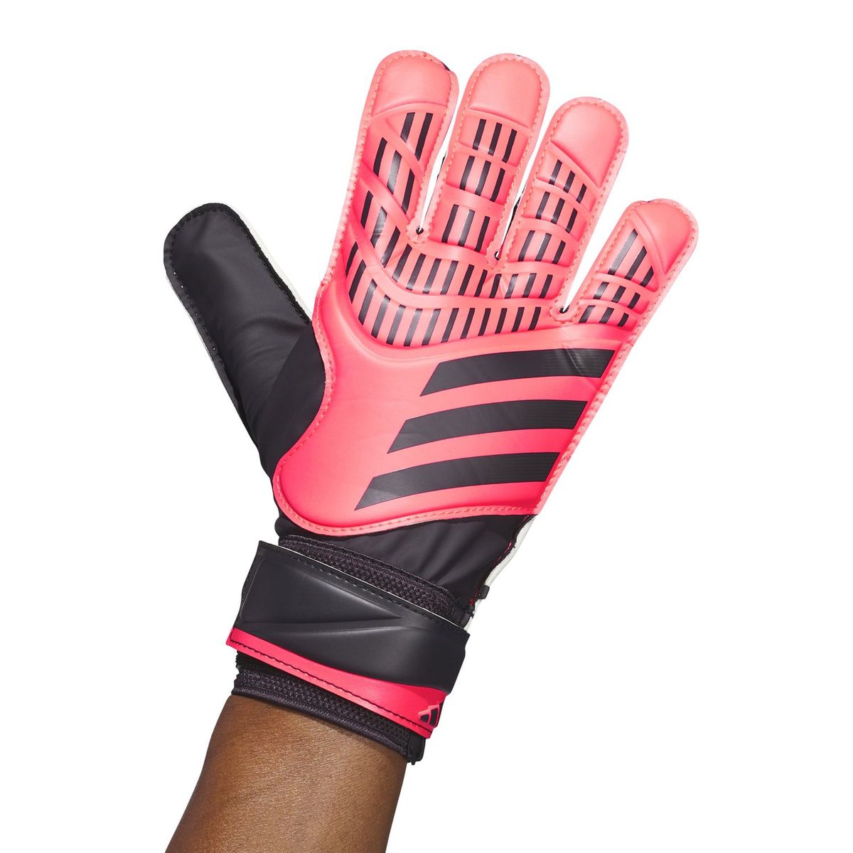 ADIDAS - Guantes Portero Adidas Predator Training