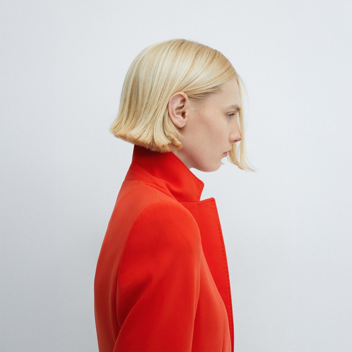 MANGO - Americana Iguana