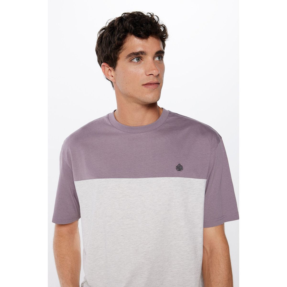 SPRINGFIELD - Polo Manga Corta Algodón Hombre Springfield