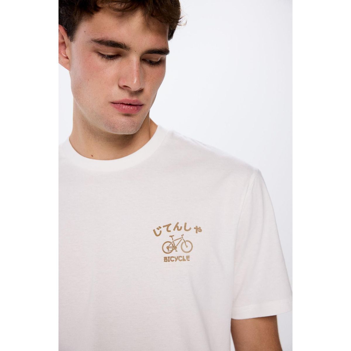 SPRINGFIELD - Polo Hombre Springfield