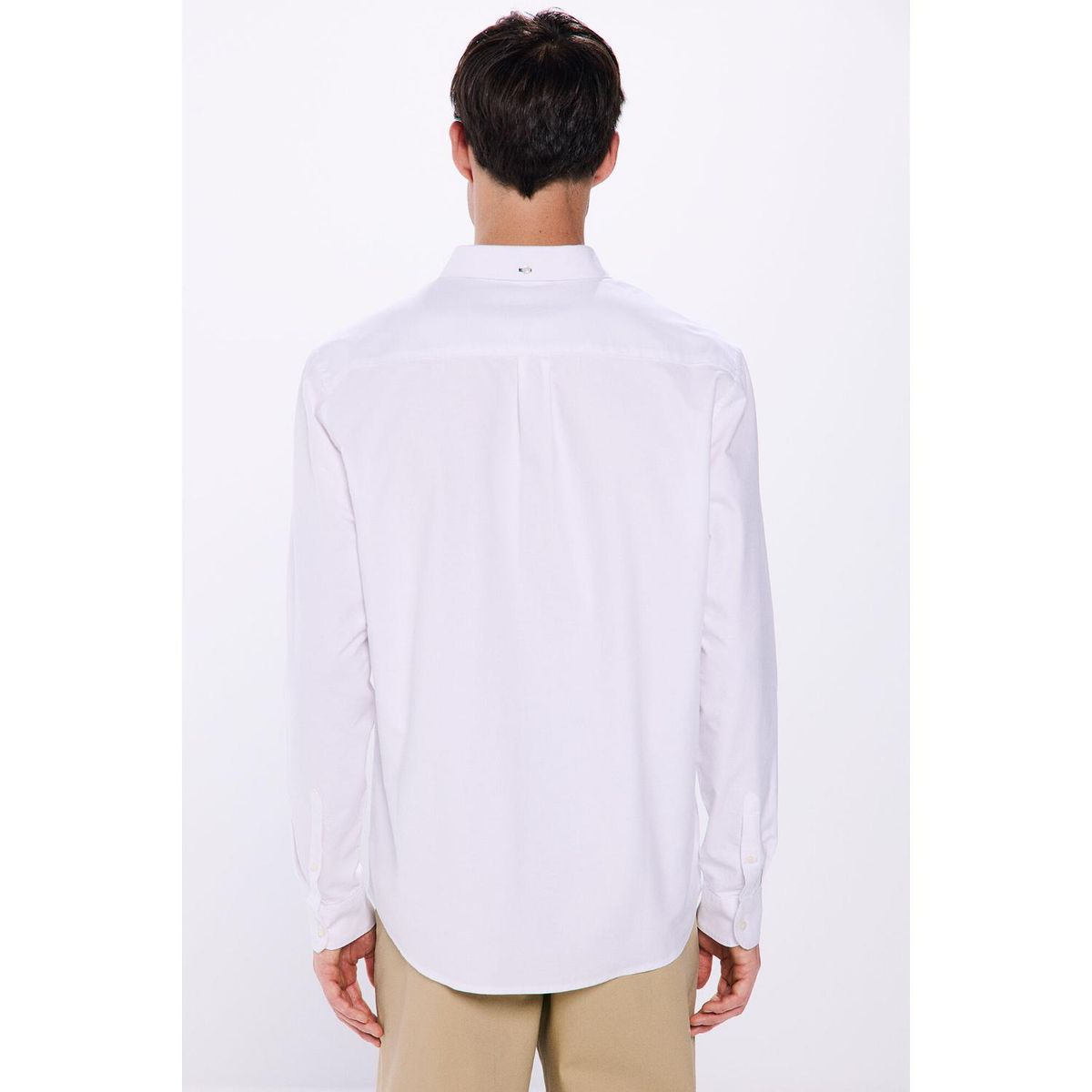 SPRINGFIELD - Camisa Algodón Hombre Springfield