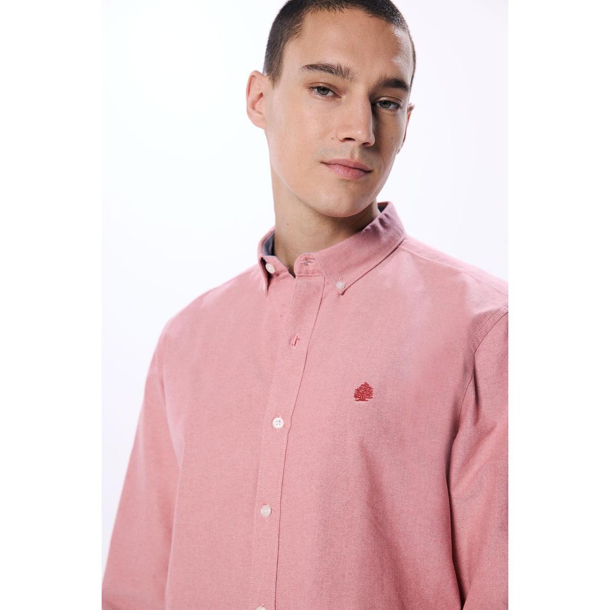 SPRINGFIELD - Camisa Algodón Hombre Springfield