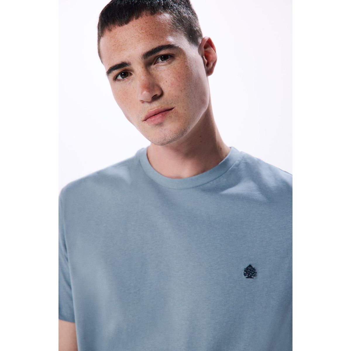 SPRINGFIELD - Polo 100% Algodón Hombre Springfield