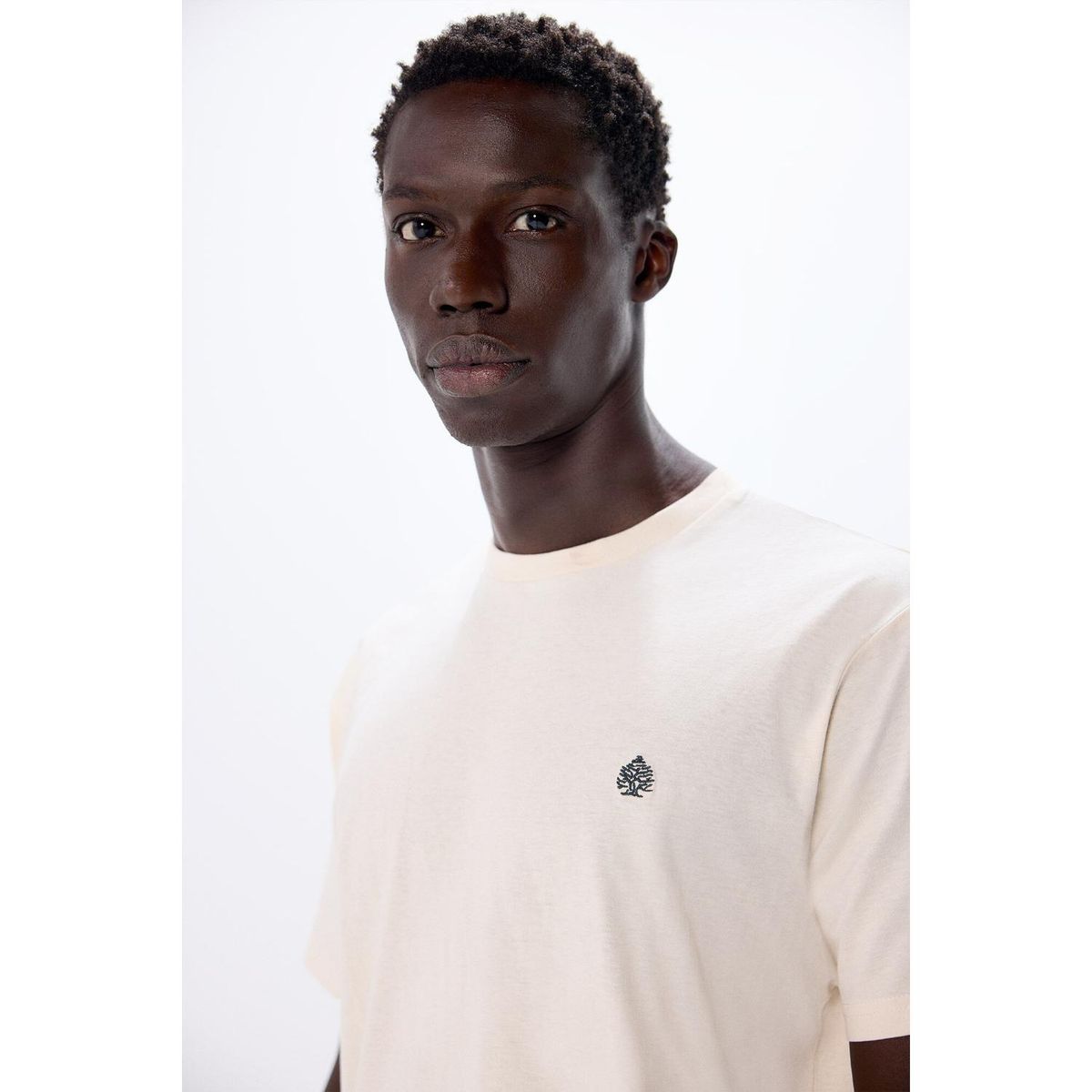 SPRINGFIELD - Polo 100% Algodón Hombre Springfield