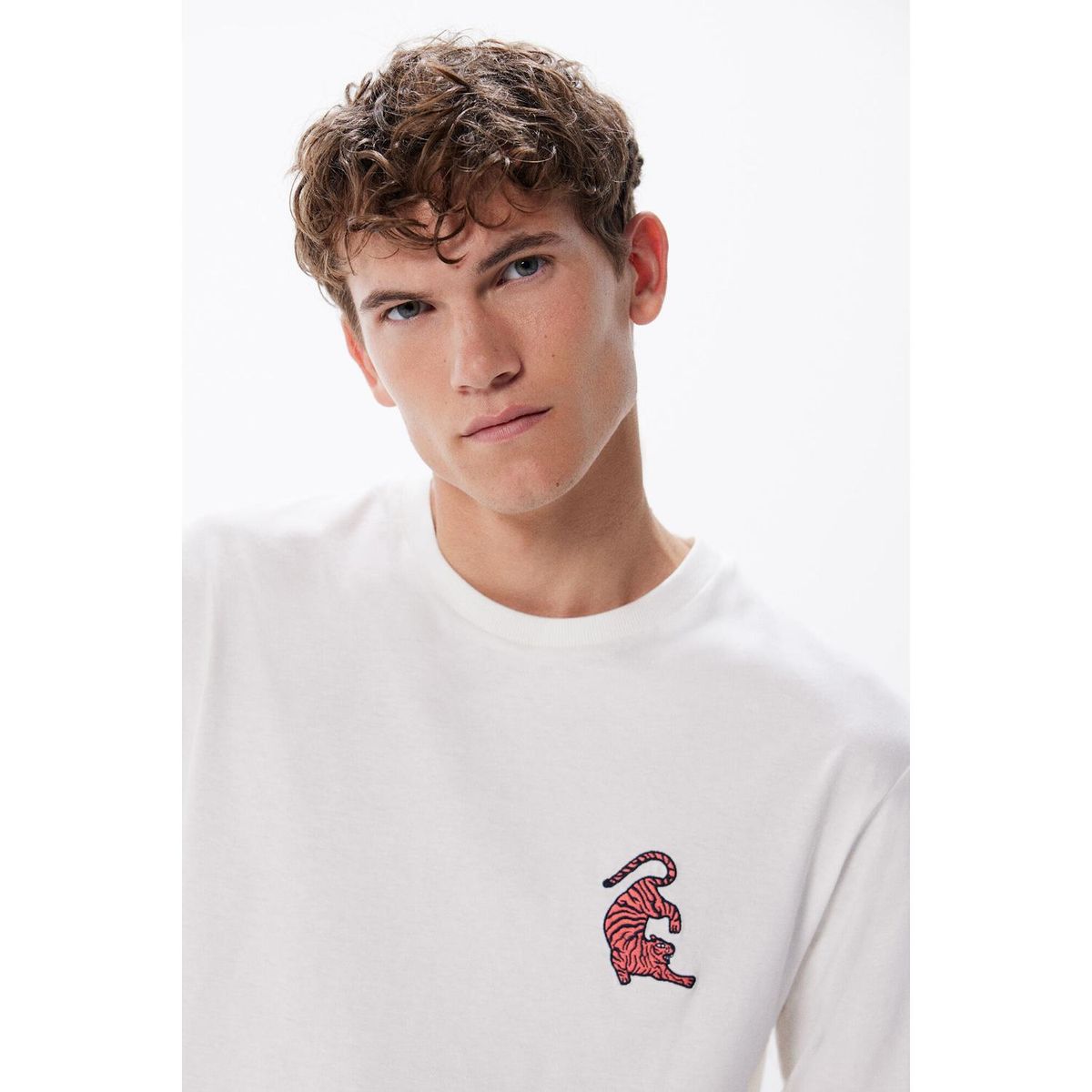 SPRINGFIELD - Polo Manga Corta 100% Algodón Hombre Springfield