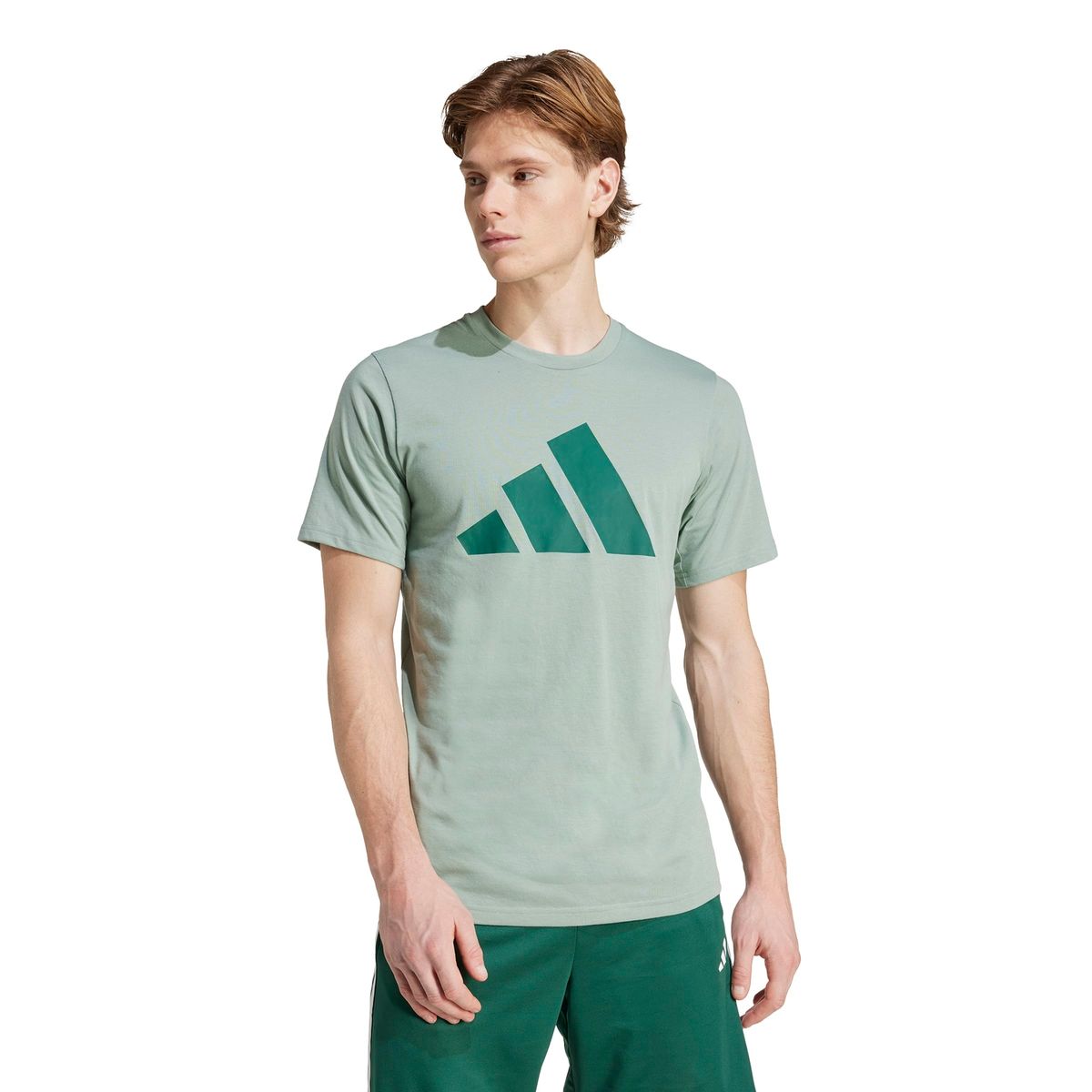 ADIDAS - Camiseta Training Hombre Adidas Graphics Coe