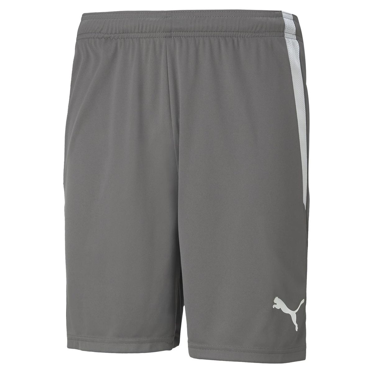 PUMA - Short Hombre Teamliga Shorts