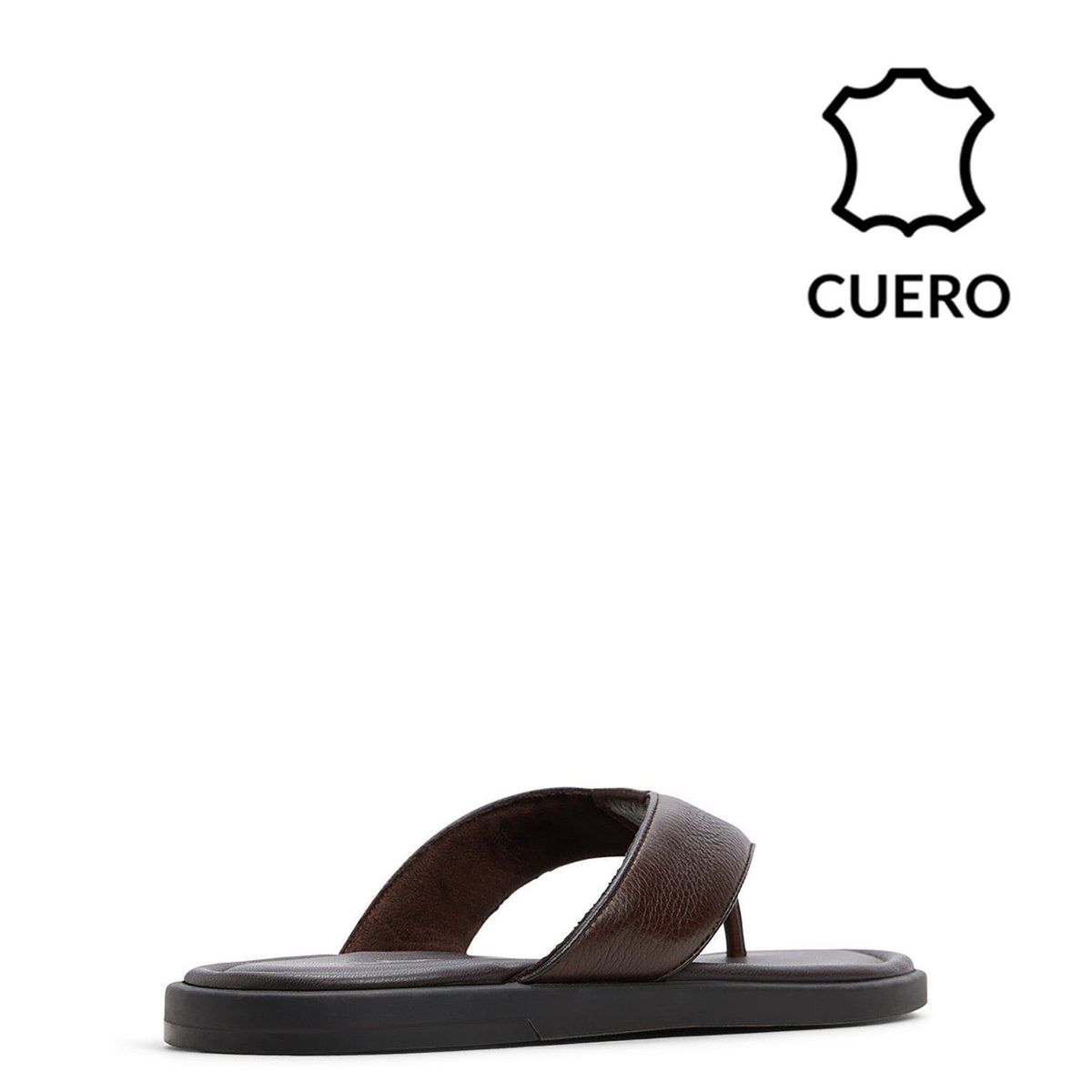 ALDO - Sandalias Hombre Aldo