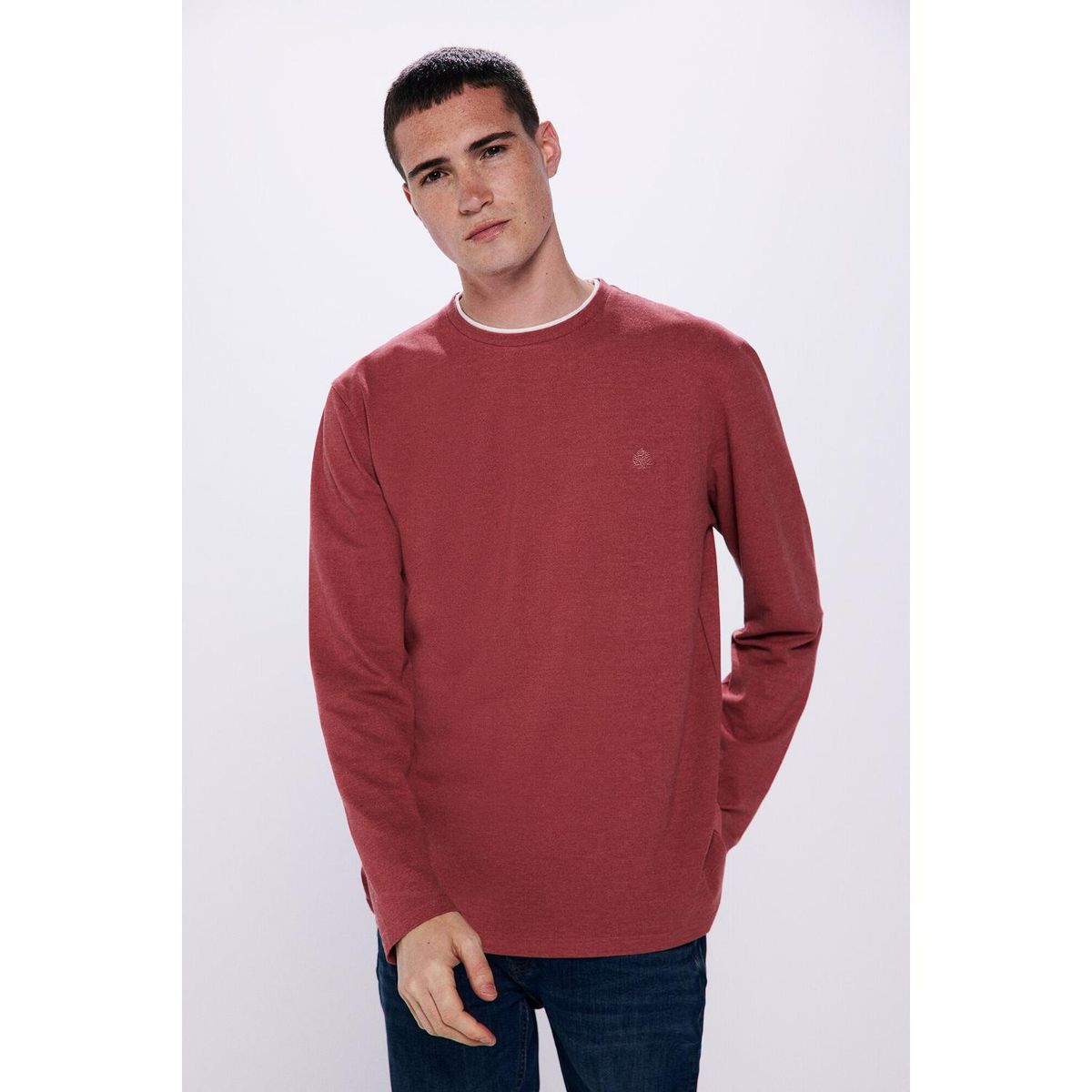 SPRINGFIELD - Polo Manga Larga Algodón Hombre Springfield