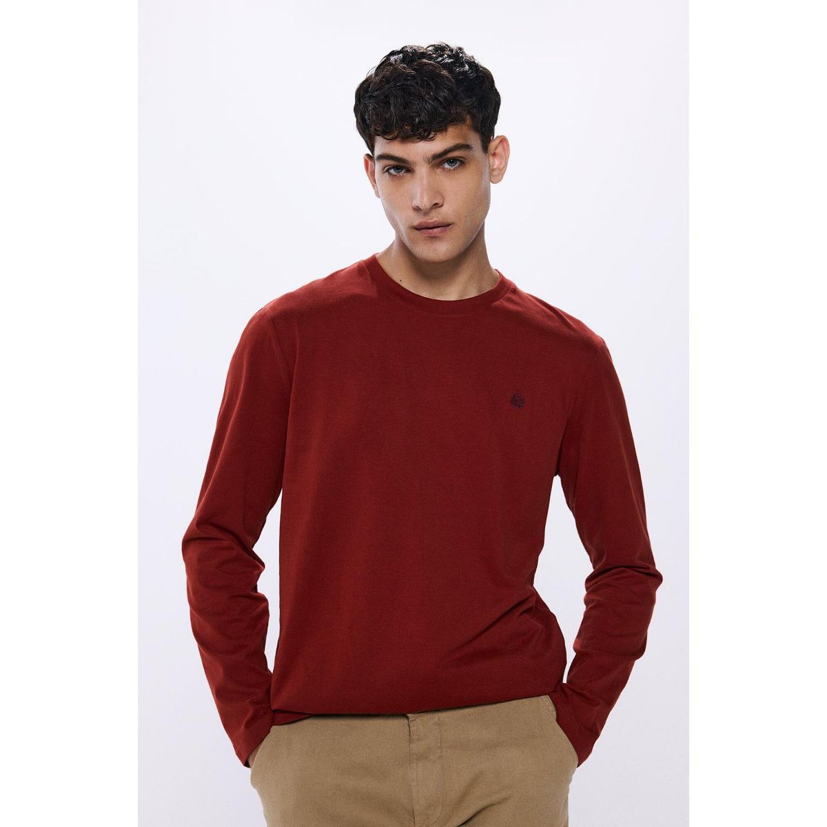 SPRINGFIELD - Polo Manga Larga 100% Algodón Hombre Springfield