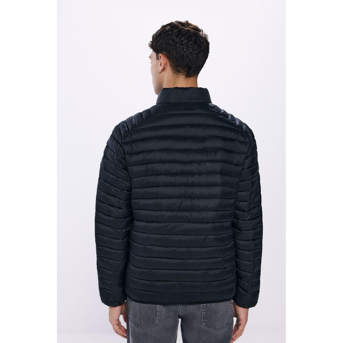SPRINGFIELD - Casaca Casual Hombre Springfield