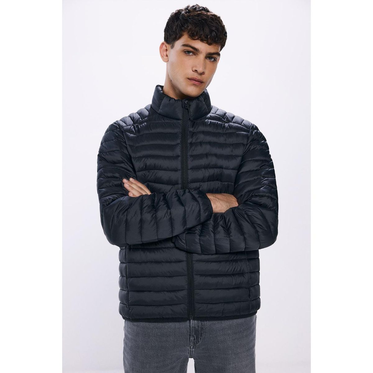 SPRINGFIELD - Casaca Casual Hombre Springfield