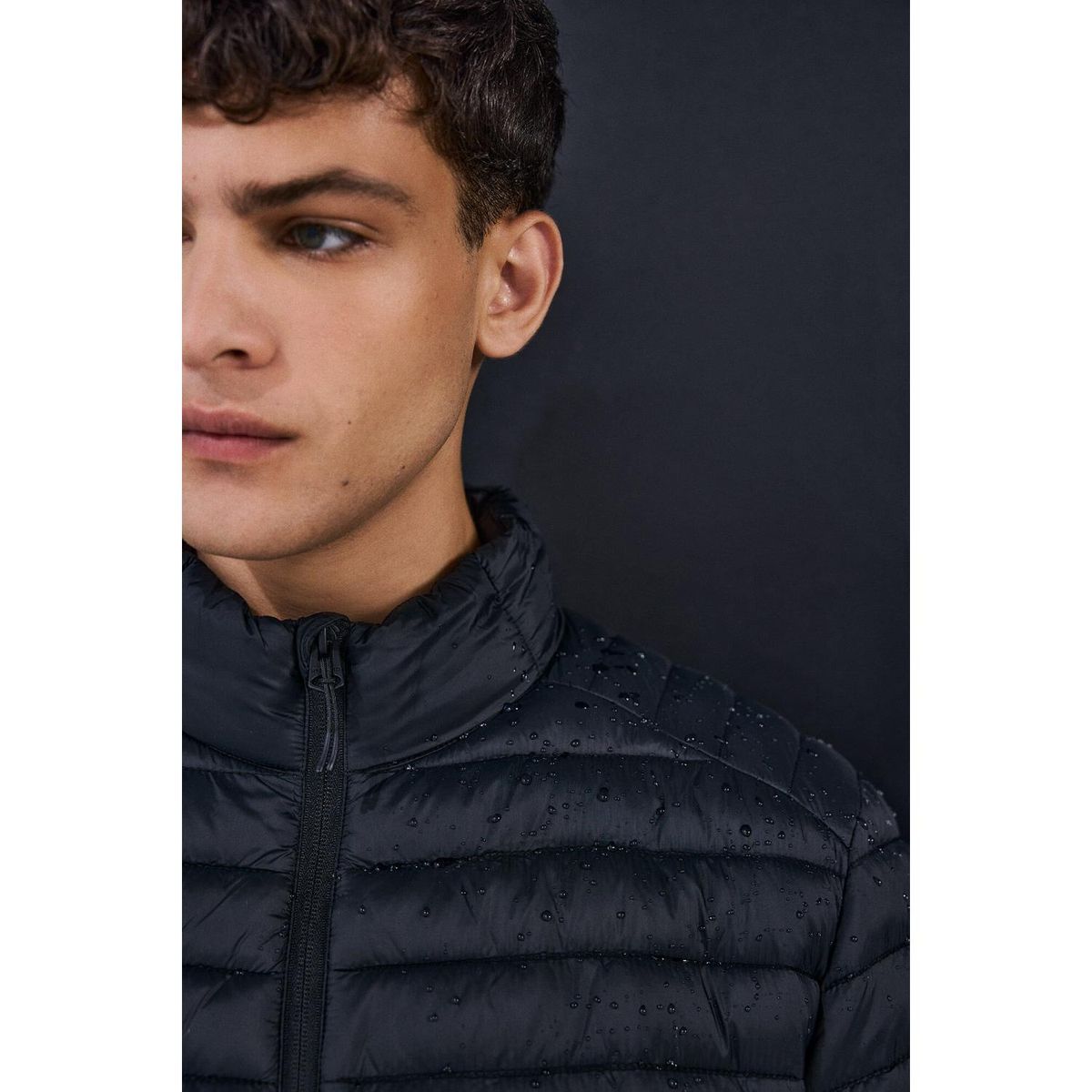 SPRINGFIELD - Casaca Casual Hombre Springfield