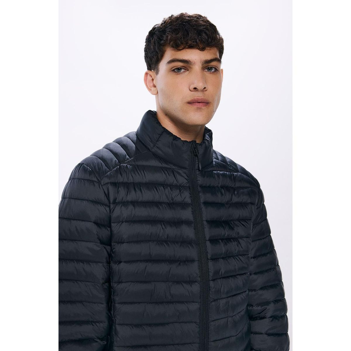 SPRINGFIELD - Casaca Casual Hombre Springfield