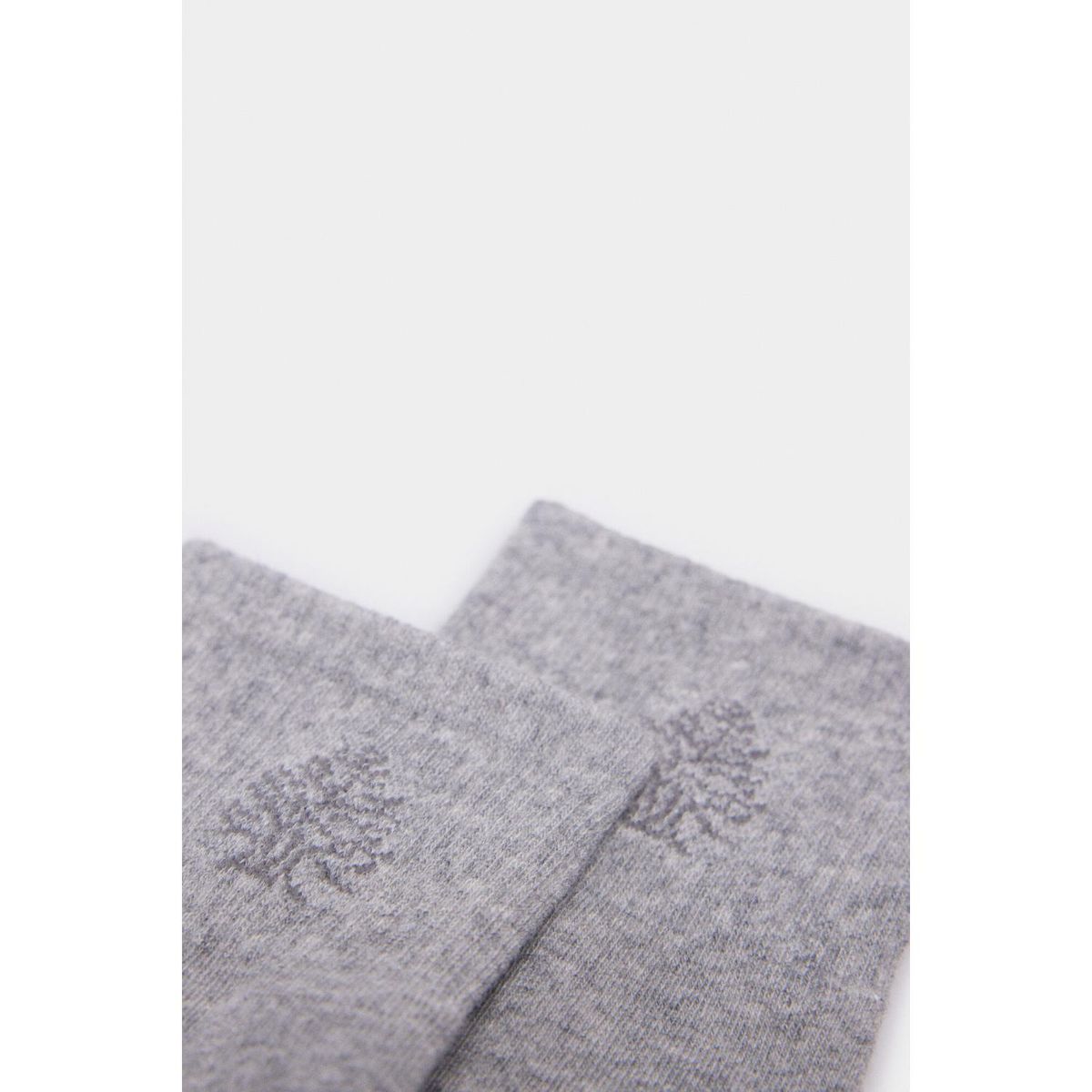 SPRINGFIELD - Medias Algodón Hombre Springfield