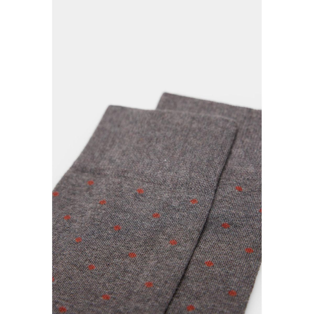 SPRINGFIELD - Medias Algodón Hombre Springfield