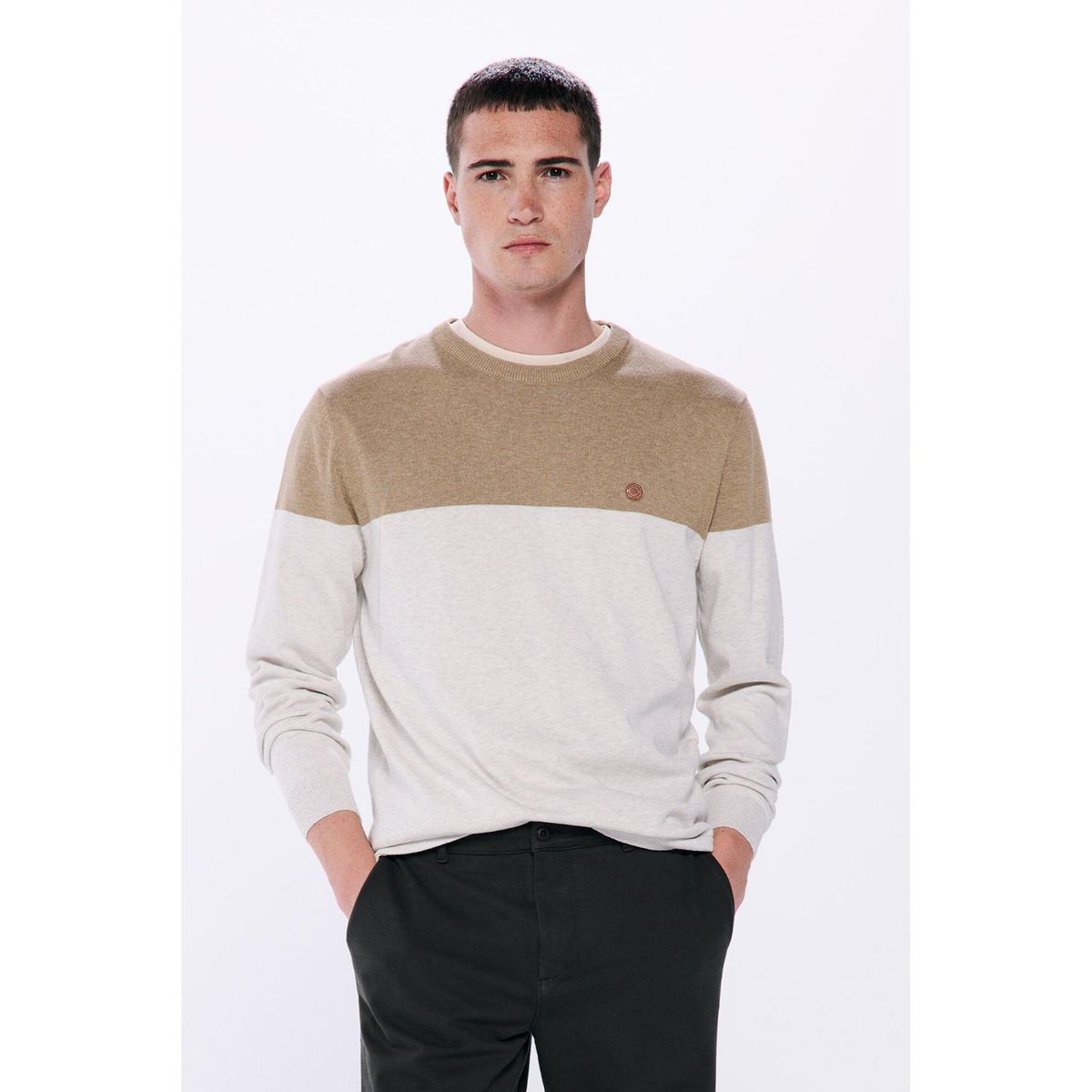 SPRINGFIELD - Chompa 100% Algodón Hombre Springfield