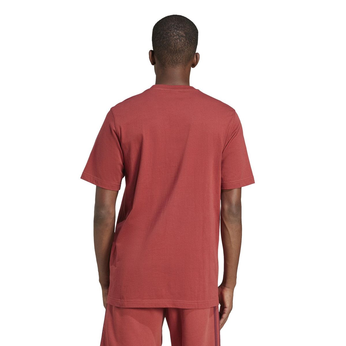 ADIDAS ORIGINALS - Polo Manga Corta 100% Algodón Hombre Adidas