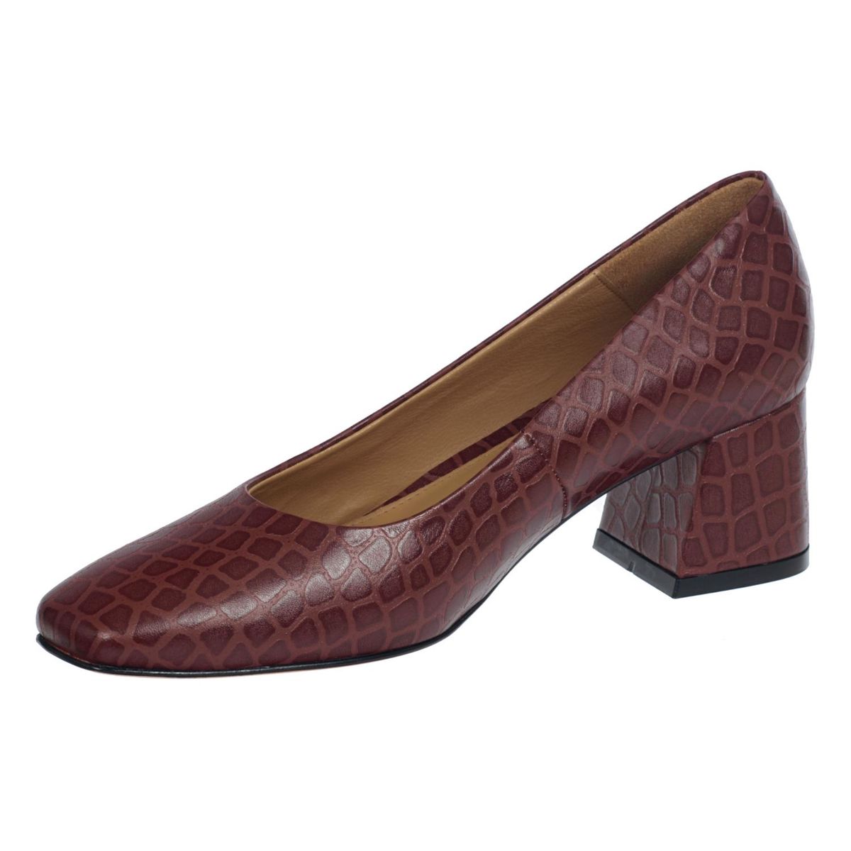 TANGUIS - Zapato Vestir 5cs11129 Cdvino