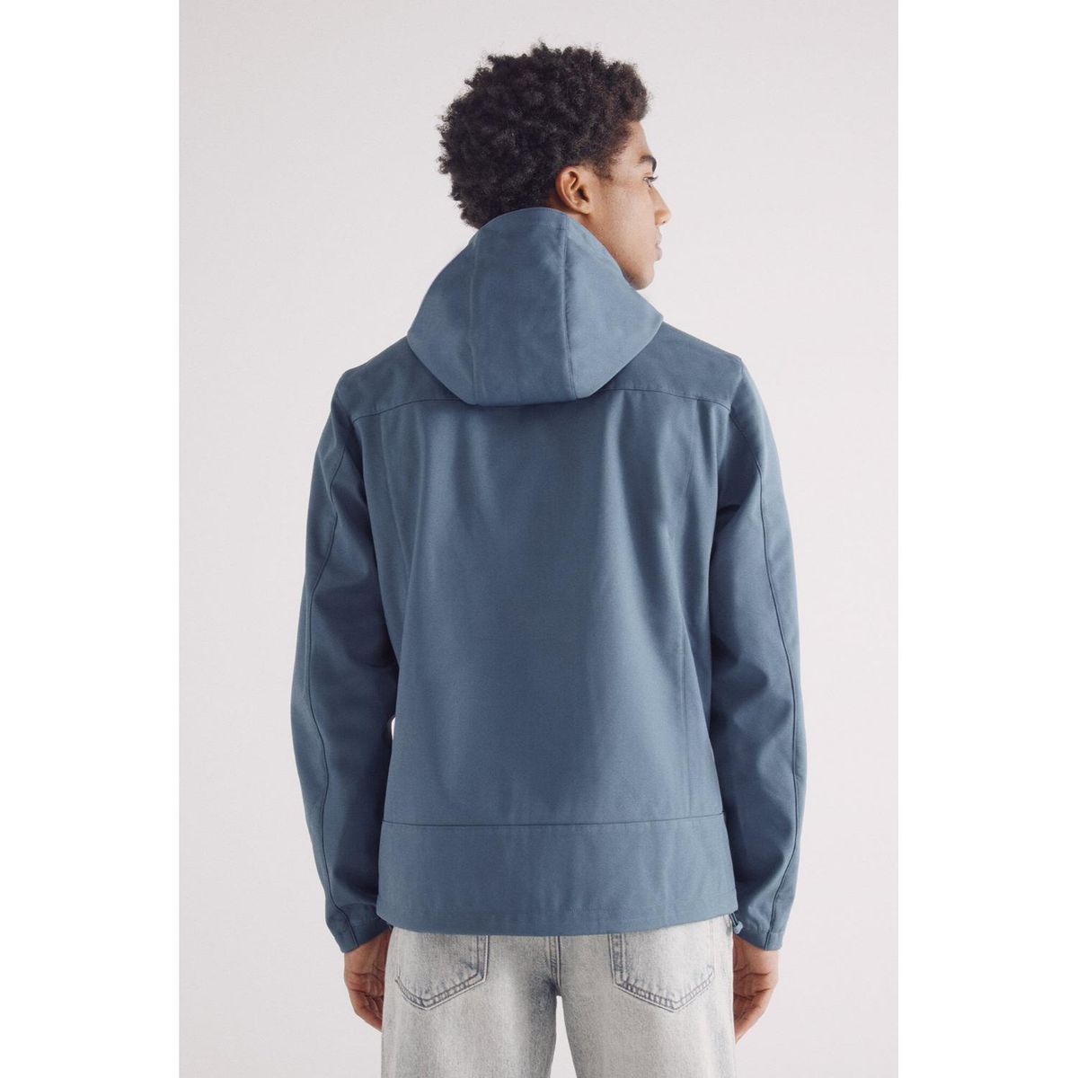 SPRINGFIELD - Casaca Hombre Springfield