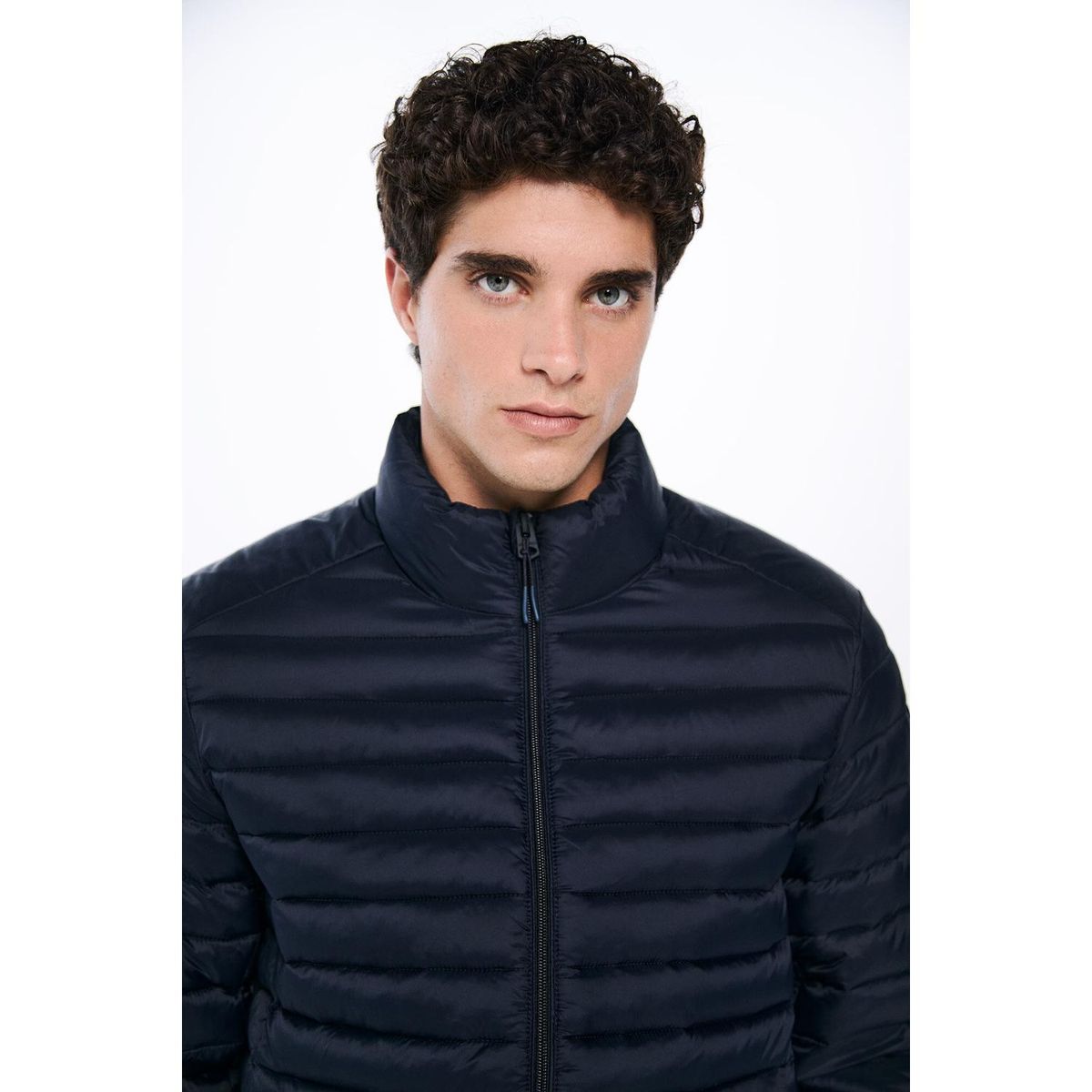 SPRINGFIELD - Casaca 959085