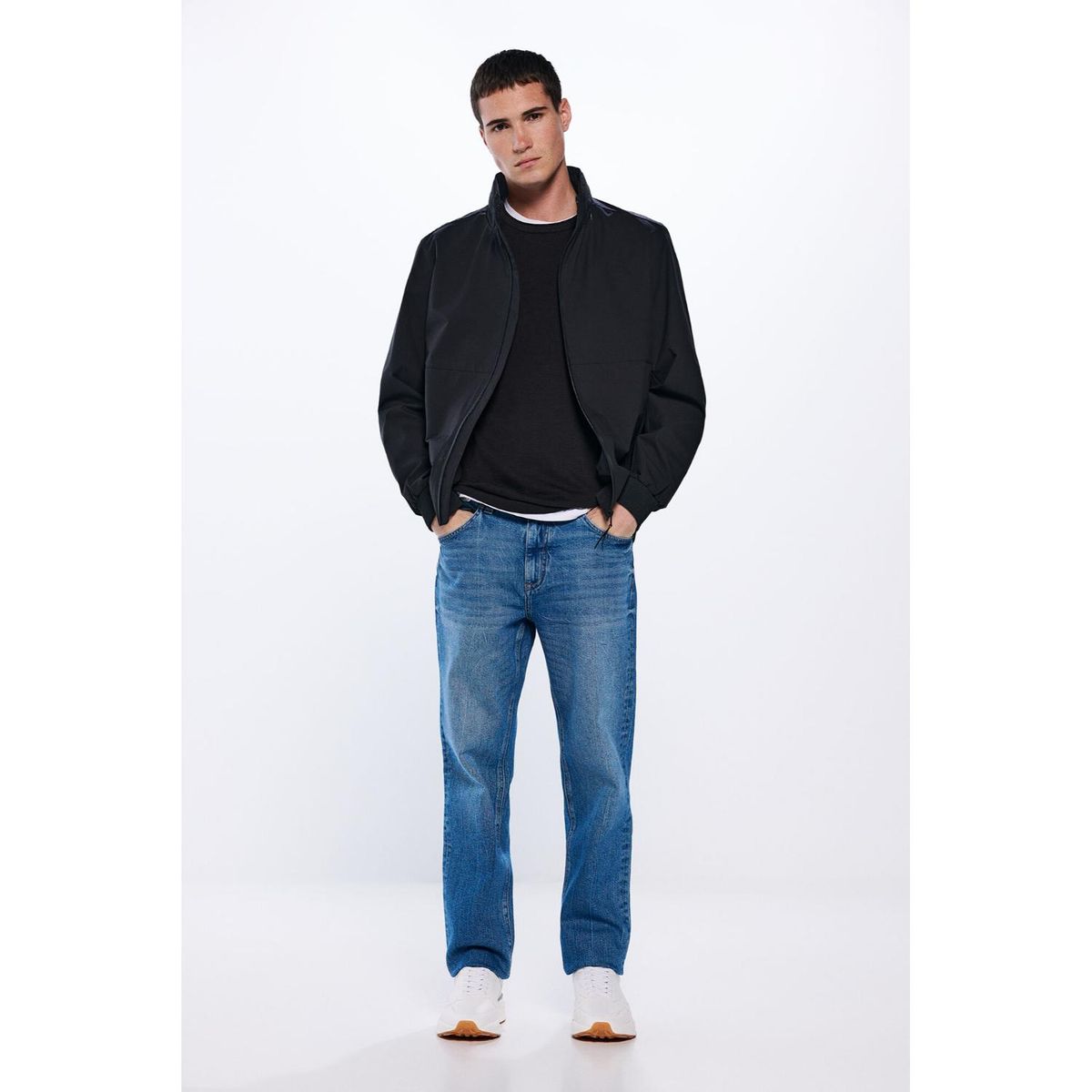 SPRINGFIELD - Casaca Hombre Springfield