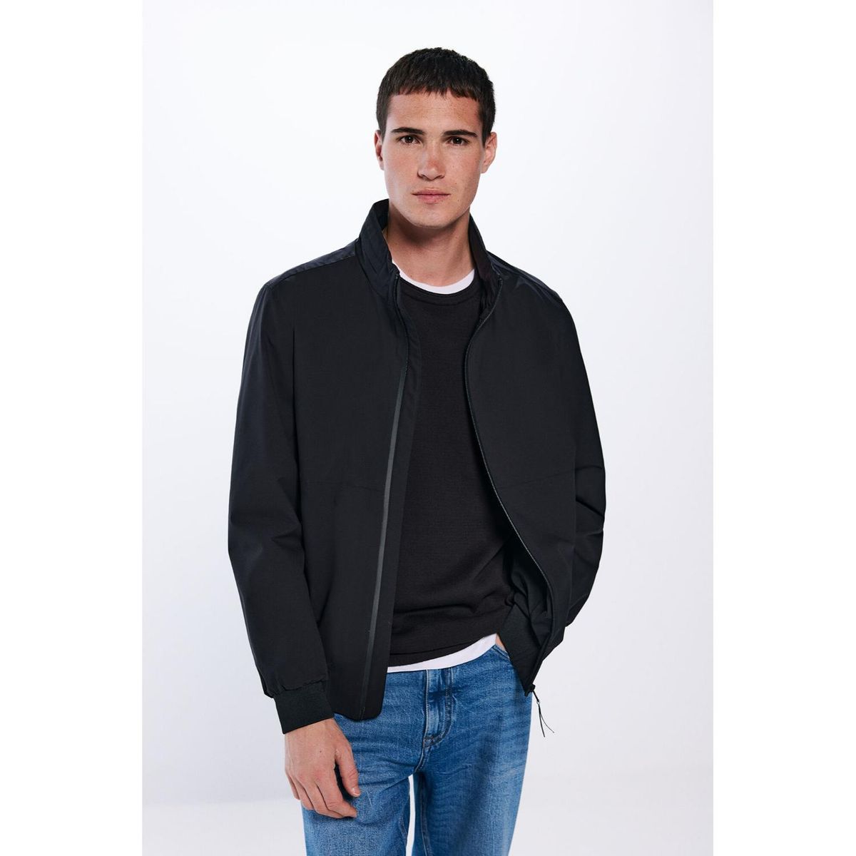 SPRINGFIELD - Casaca Hombre Springfield