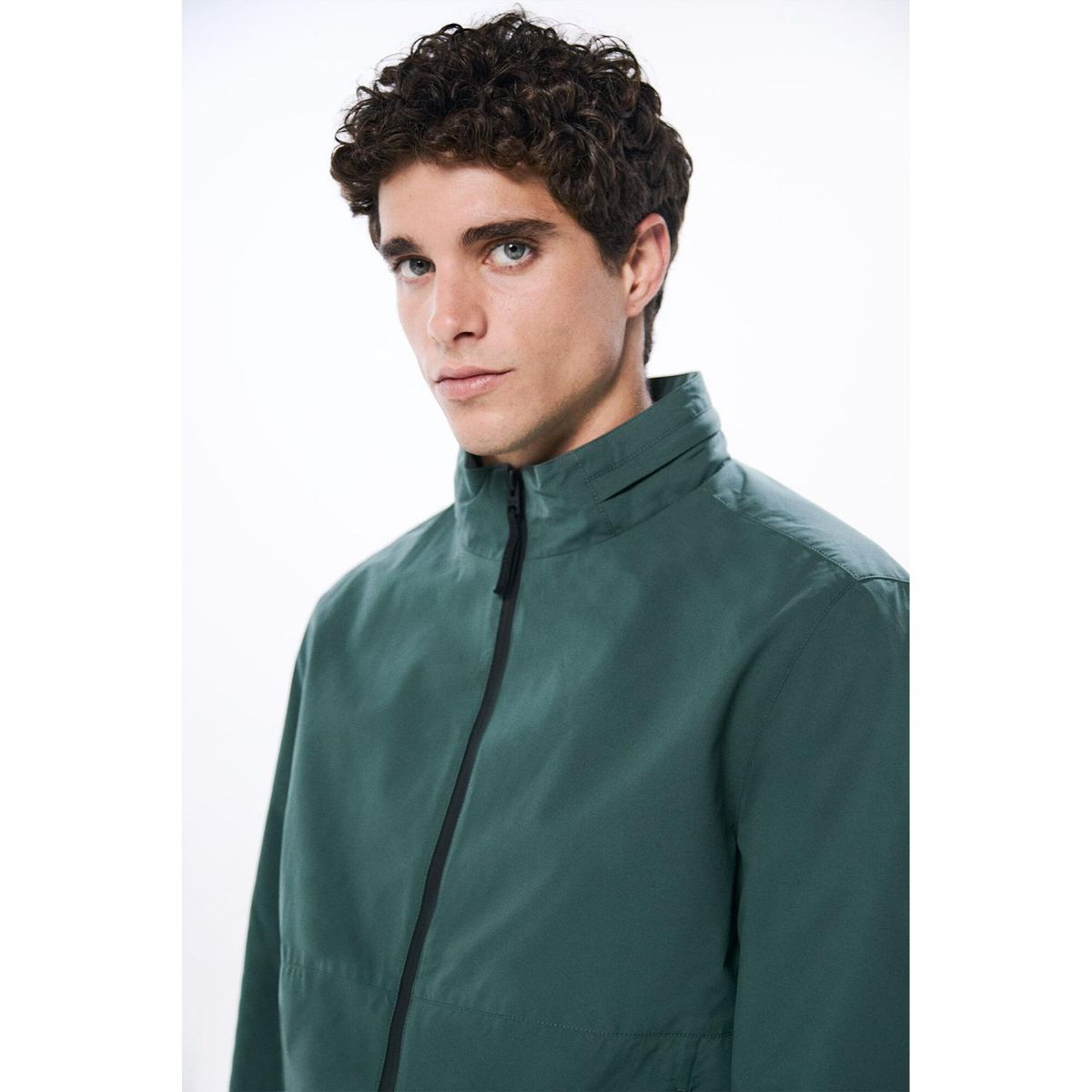 SPRINGFIELD - Casaca Hombre Springfield