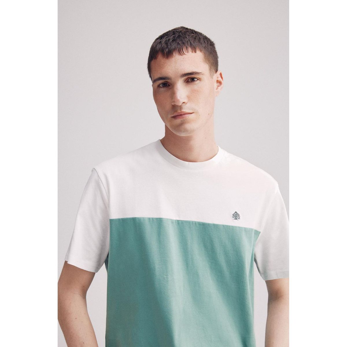 SPRINGFIELD - Polo 100% Algodón Manga Corta Casual Springfield