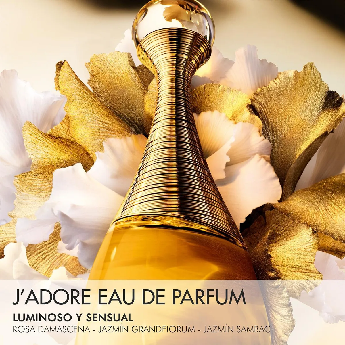 DIOR - Set Dior Jadore Eau De Parfum 100 Ml + Travel Spray 10 Ml Mujer