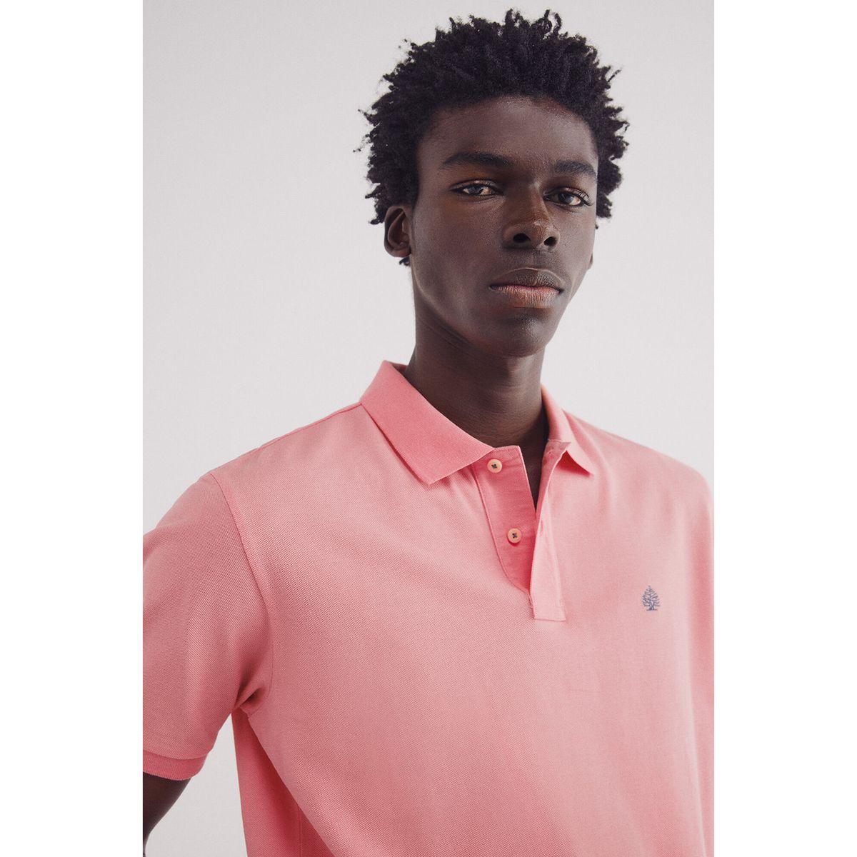 SPRINGFIELD - Polo Manga Corta 100% Algodón Hombre Springfield