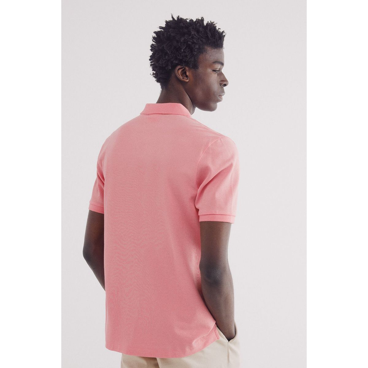 SPRINGFIELD - Polo Manga Corta 100% Algodón Hombre Springfield