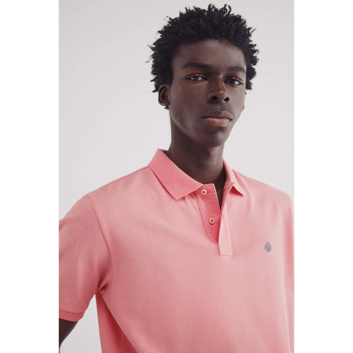 SPRINGFIELD - Polo Manga Corta 100% Algodón Hombre Springfield