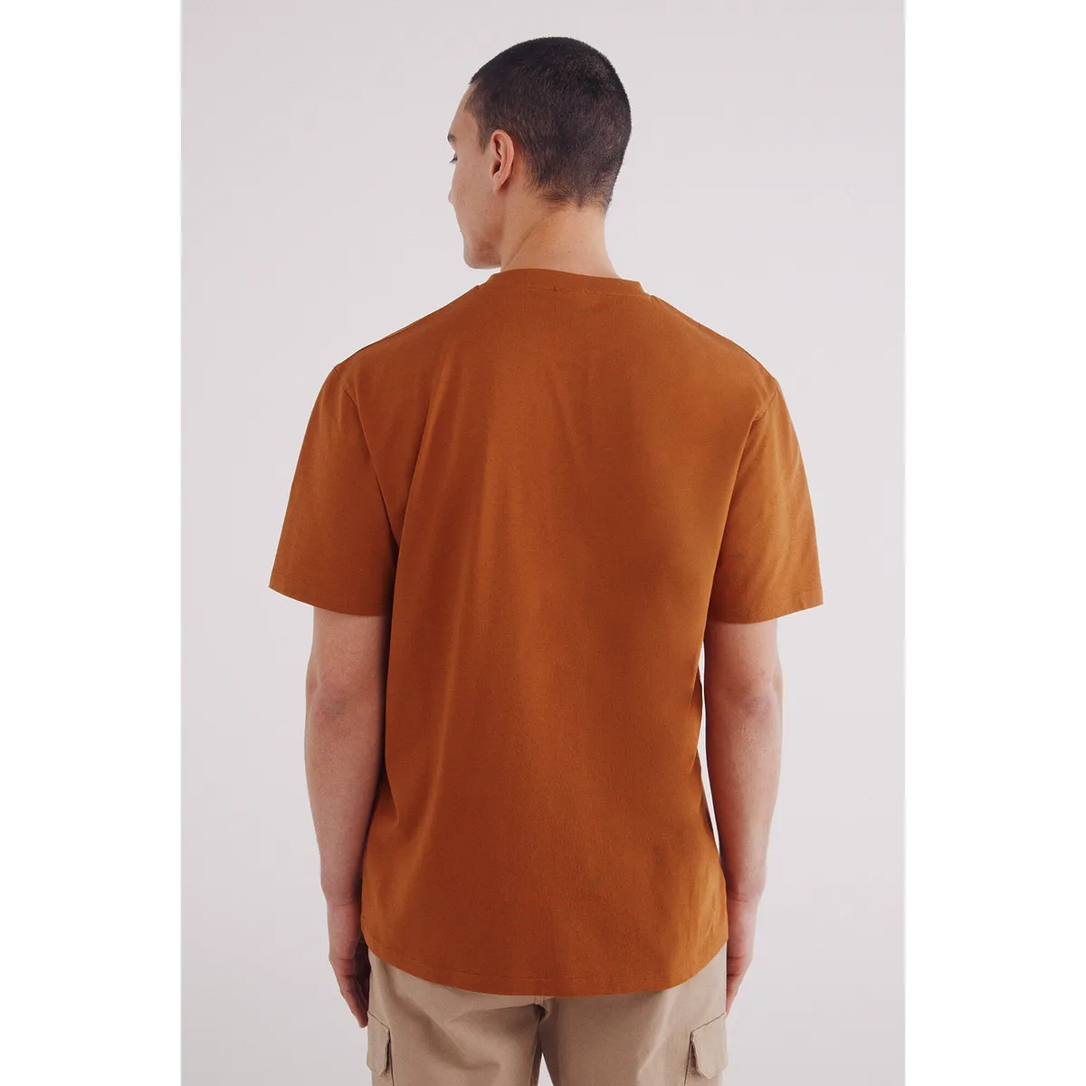 SPRINGFIELD - Polo Manga Corta 100% Algodón Hombre Springfield