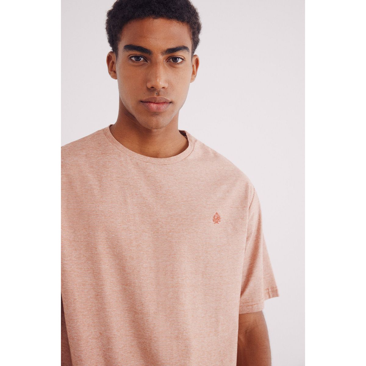 SPRINGFIELD - Polo Manga Corta 100% Algodón Hombre Springfield