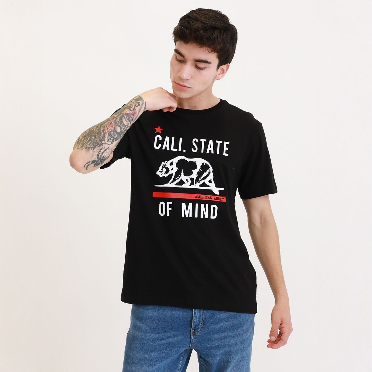 AMERICAN ABBEY - Polo 100% Algodón Casual Hombre American A