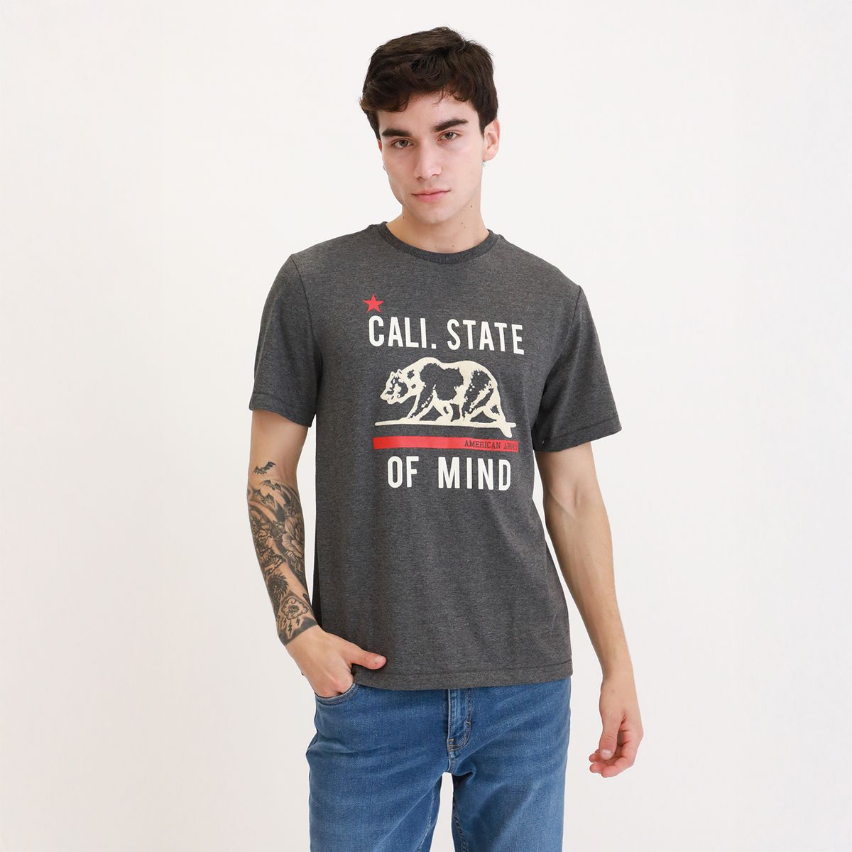 AMERICAN ABBEY - Polo 100% Algodón Casual Hombre American A