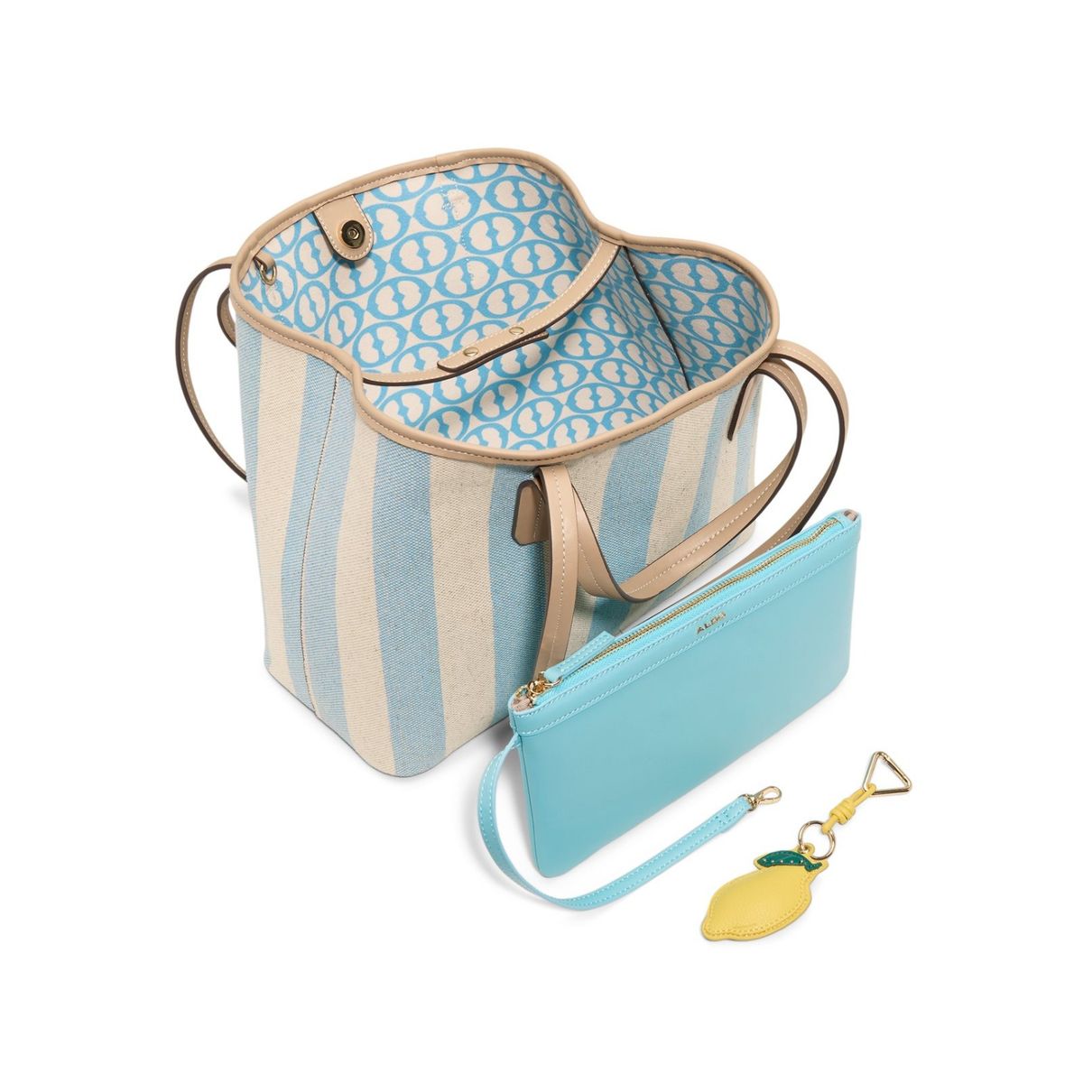 ALDO - Cartera Summertote Mujer Aldo