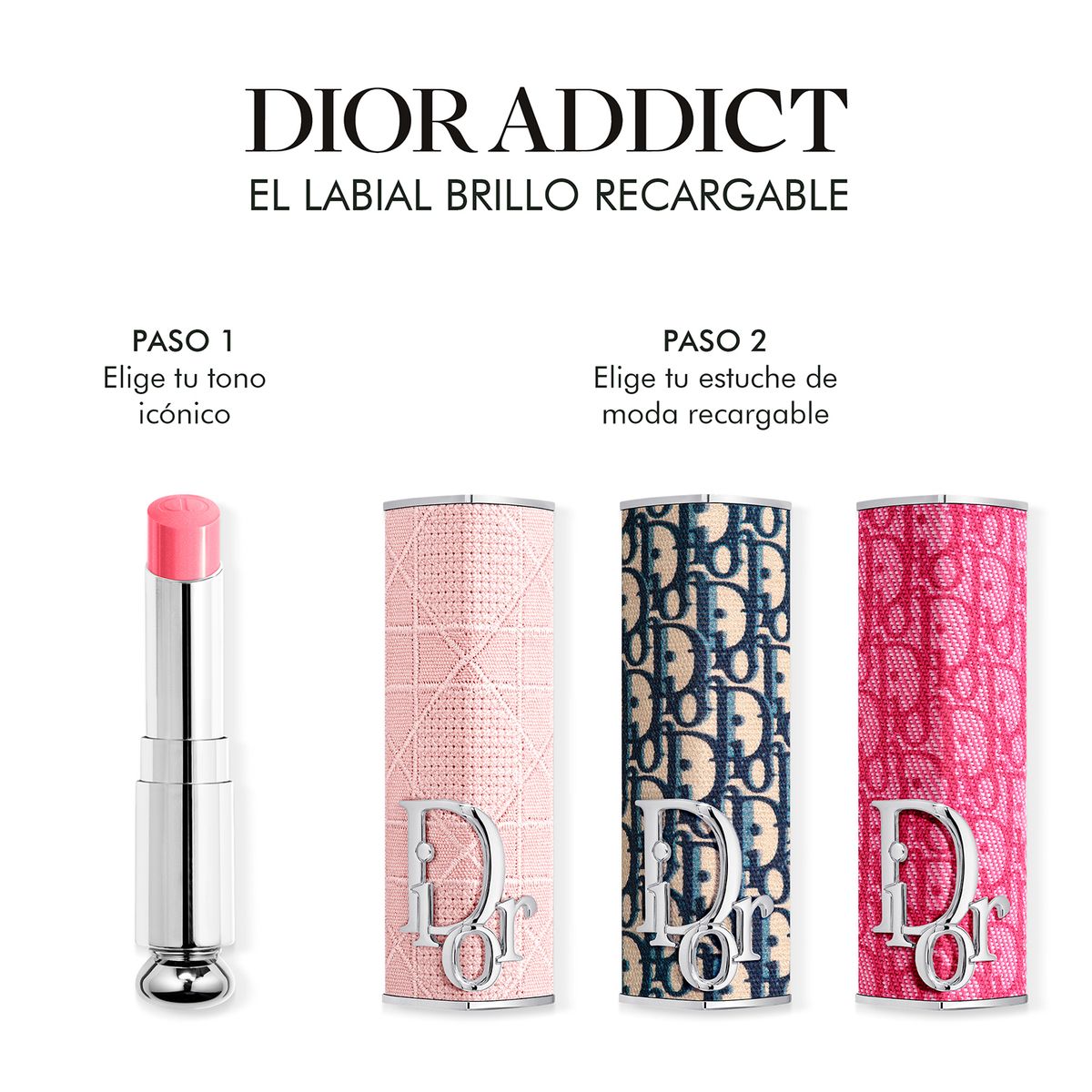 DIOR - Dior Case Oblique Dior Addict Lipstick