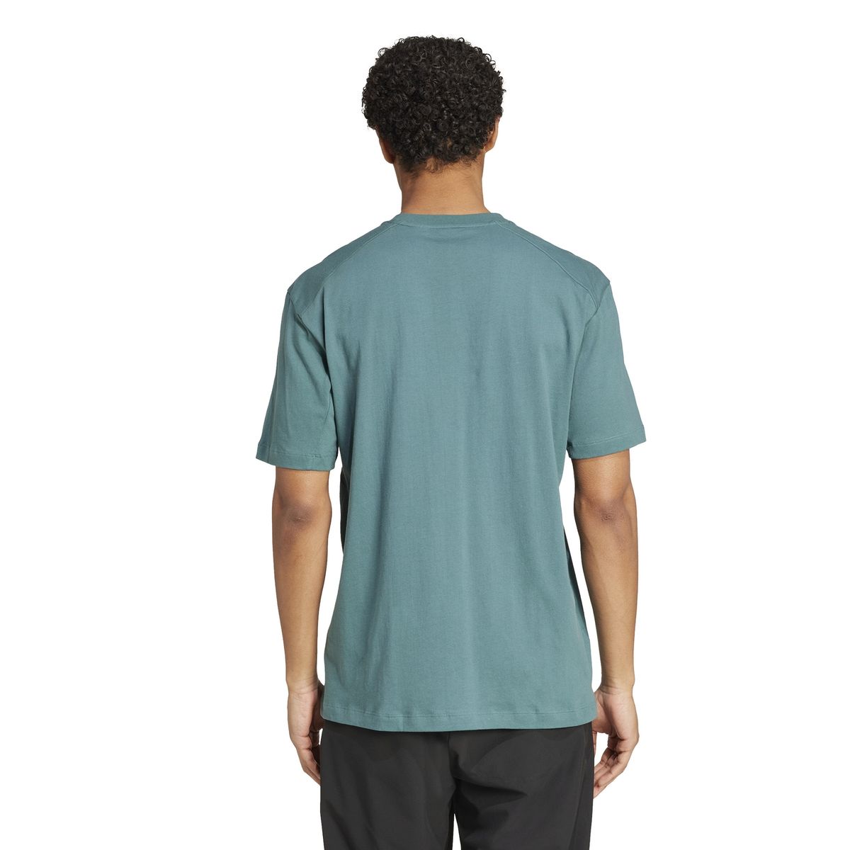 ADIDAS - Polo Senderismo Hombre Adidas Terrex Classic Logo