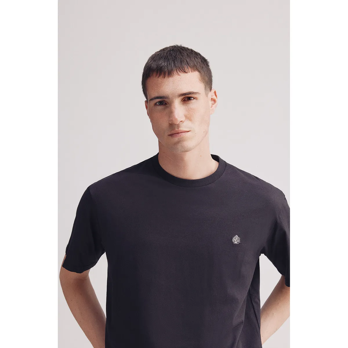 SPRINGFIELD - Polo 100% Algodón Casual Hombre Springfield