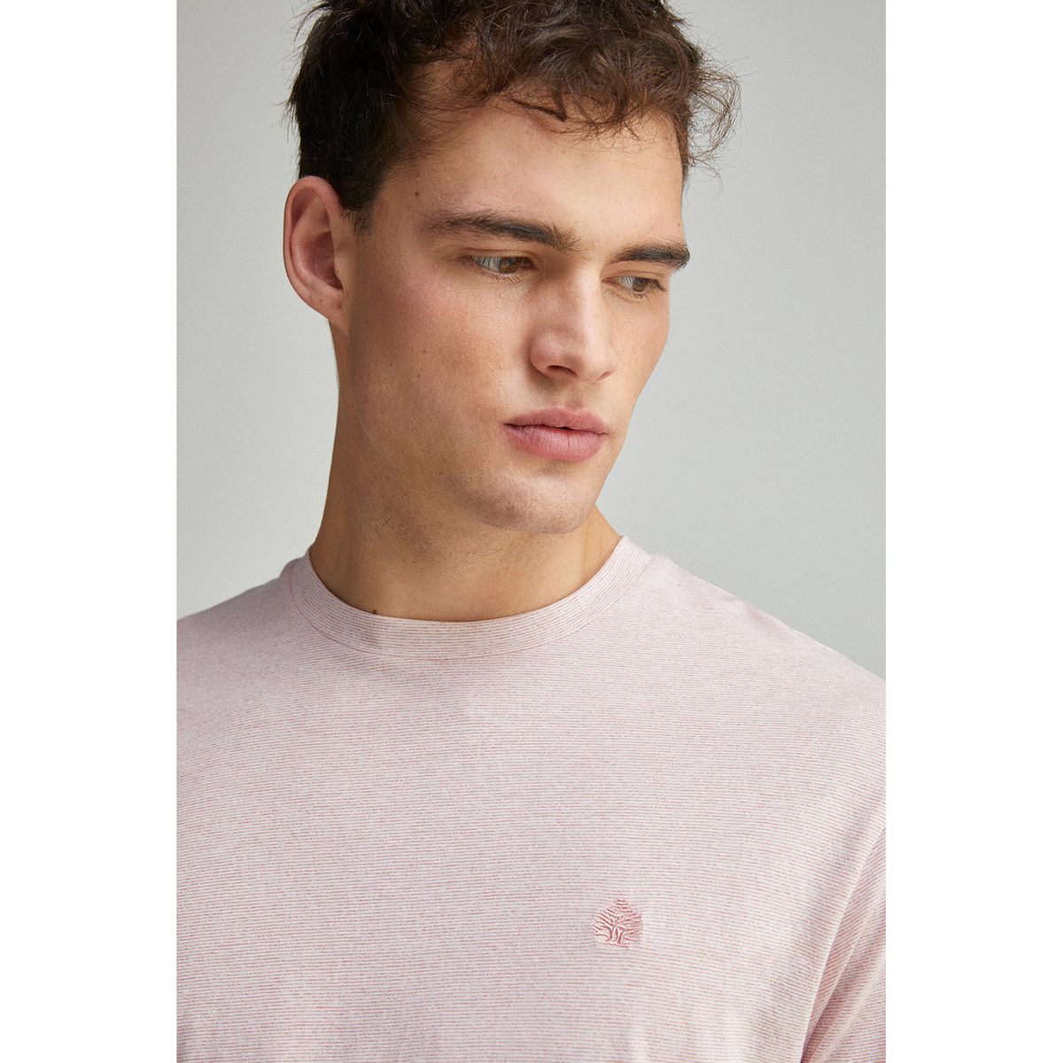 SPRINGFIELD - Polo Algodón Casual Hombre Springfield