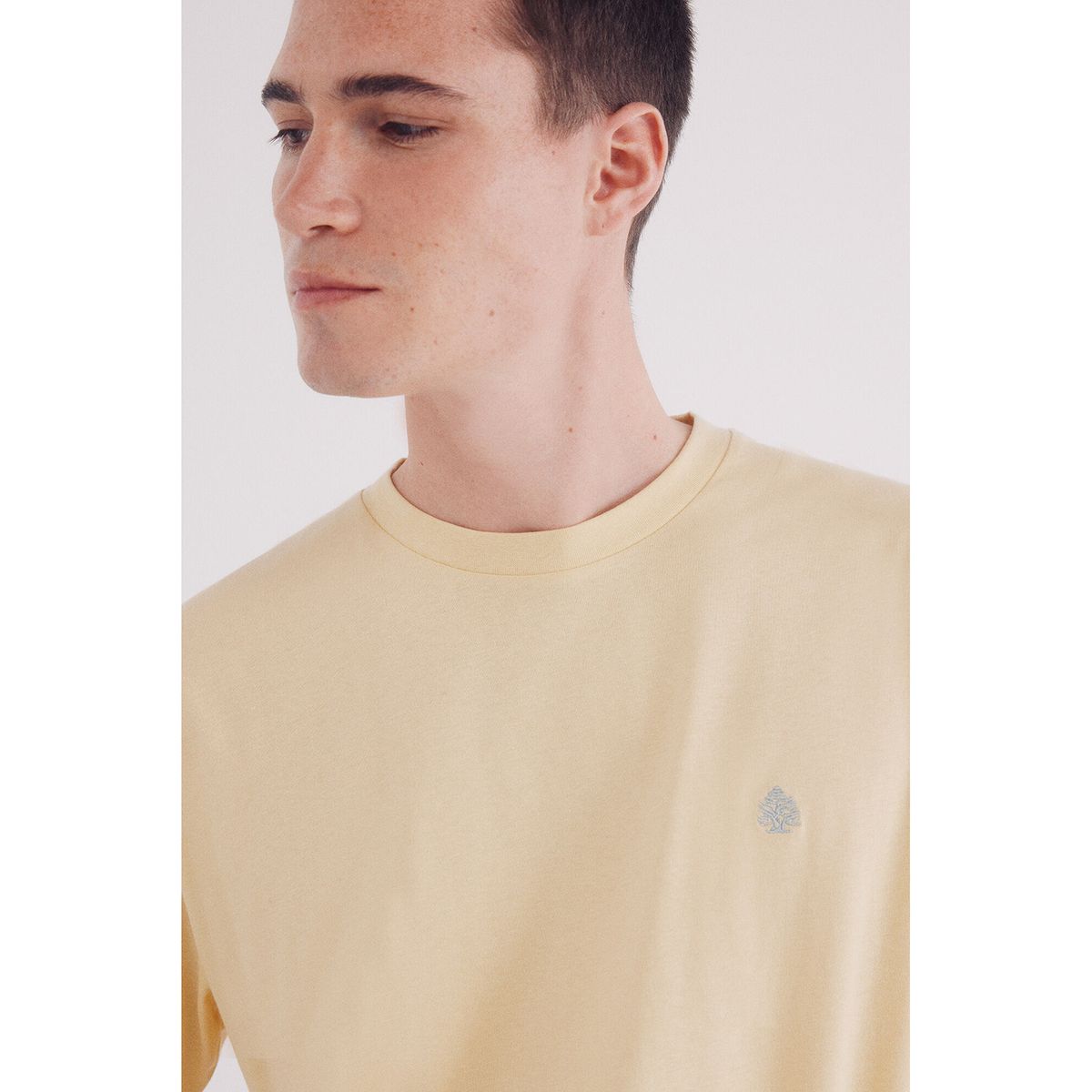 SPRINGFIELD - Polo Manga Corta 100% Algodón Hombre Springfield