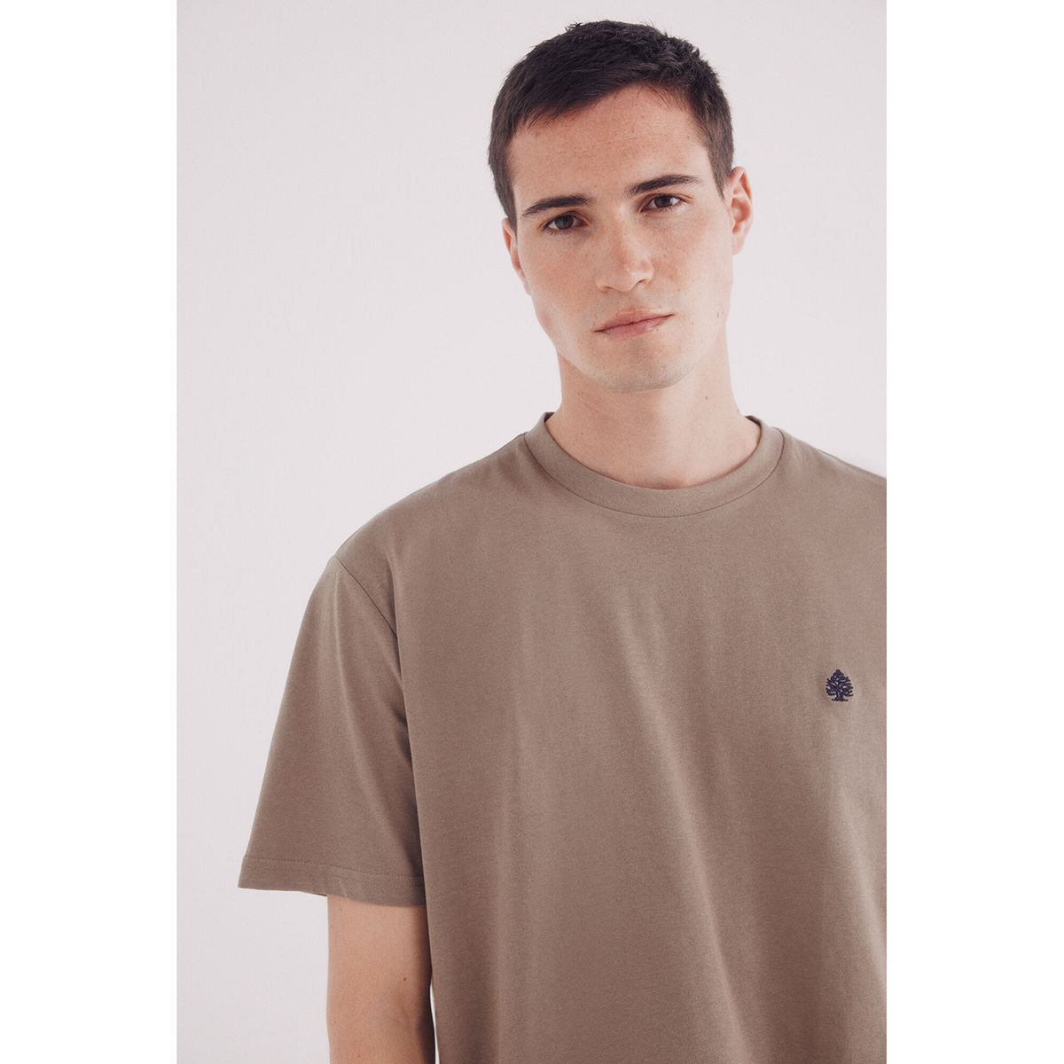 SPRINGFIELD - Polo Manga Corta 100% Algodón Hombre Springfield