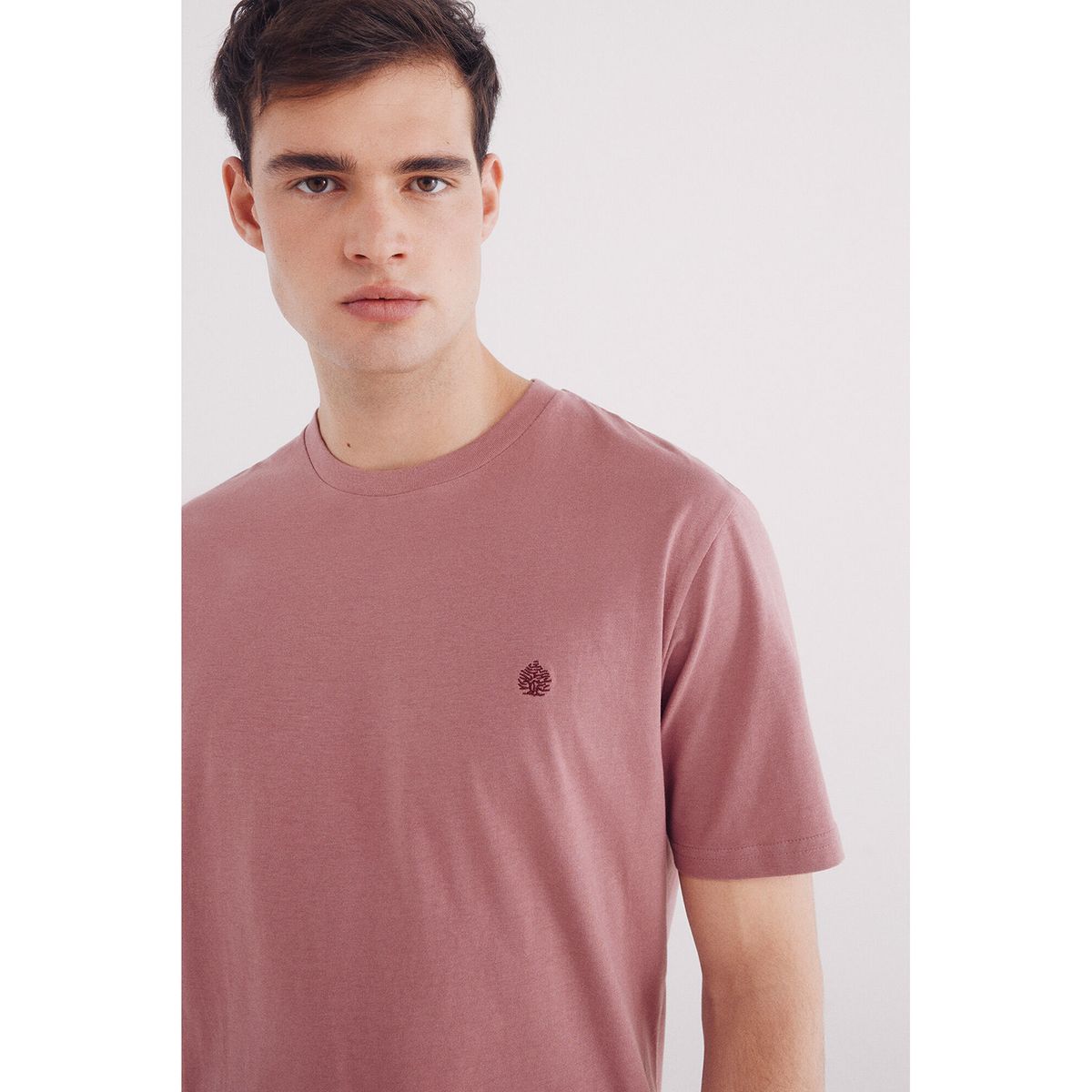 SPRINGFIELD - Polo Manga Corta 100% Algodón Hombre Springfield