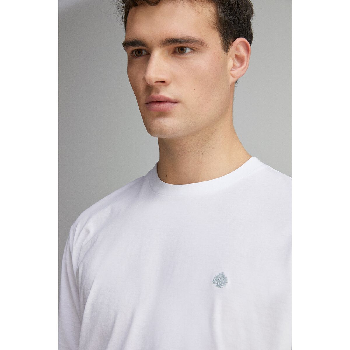 SPRINGFIELD - Polo Manga Corta 100% Algodón Hombre Springfield